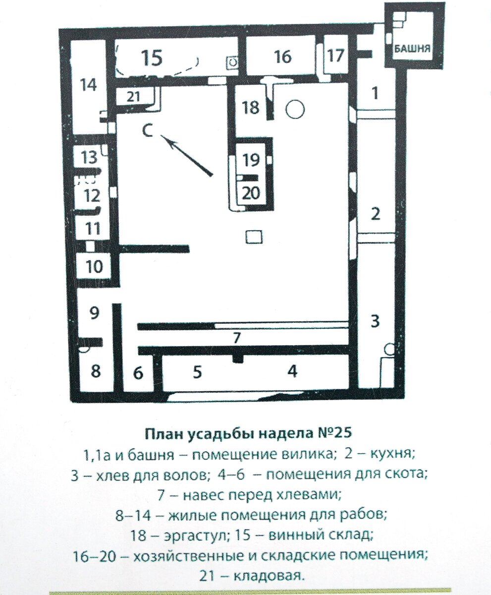 План усадьбы надела №25