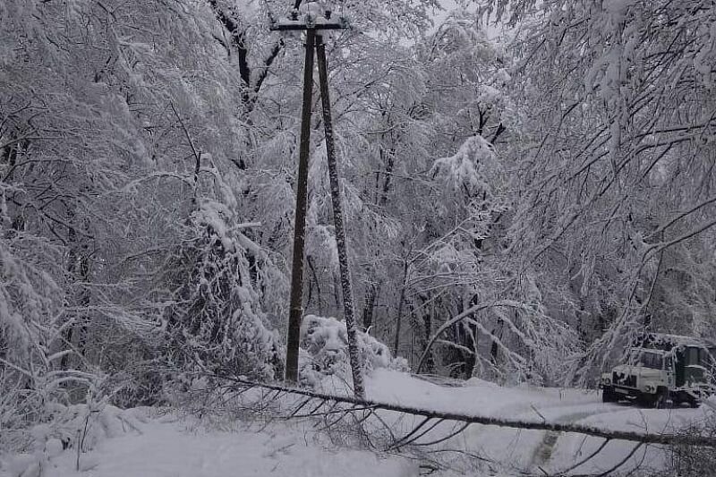 Фото: «Россети Кубань»