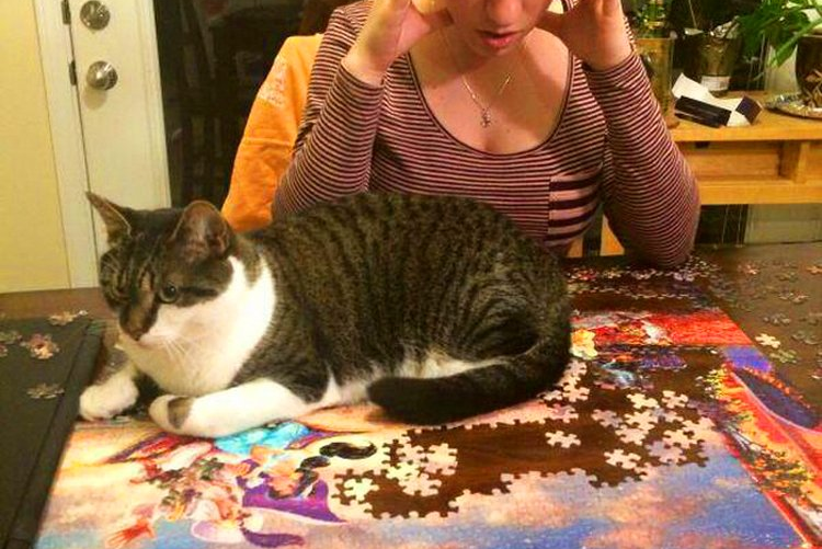 фото с сайта interesno-vse.ru