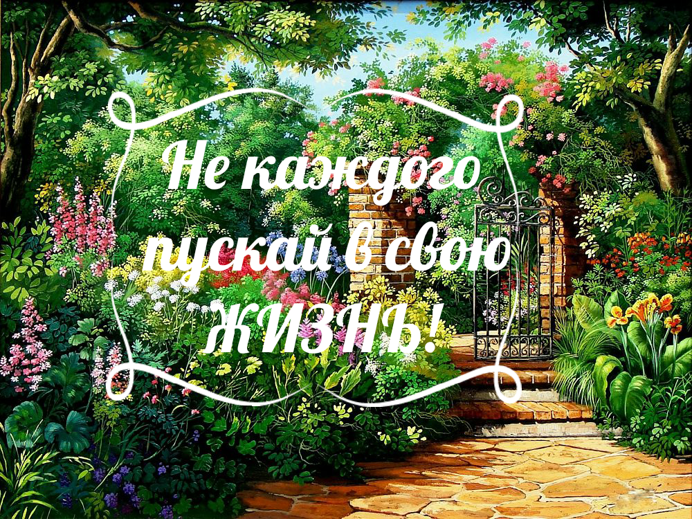 Коллаж Автора. 