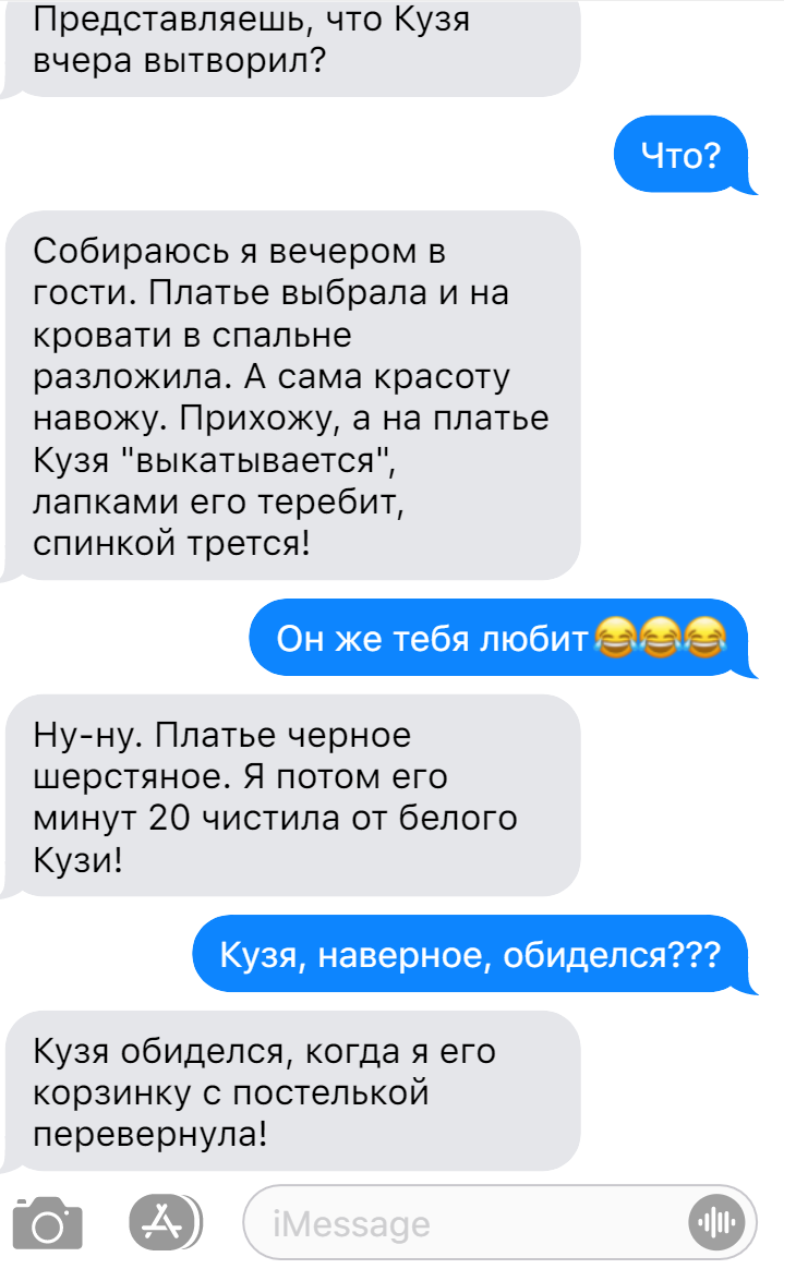 Все, у кого есть домашние любимцы время от времени вынуждены терпеть их выходки!
Сегодня я расскажу именно о таких случаях.-2