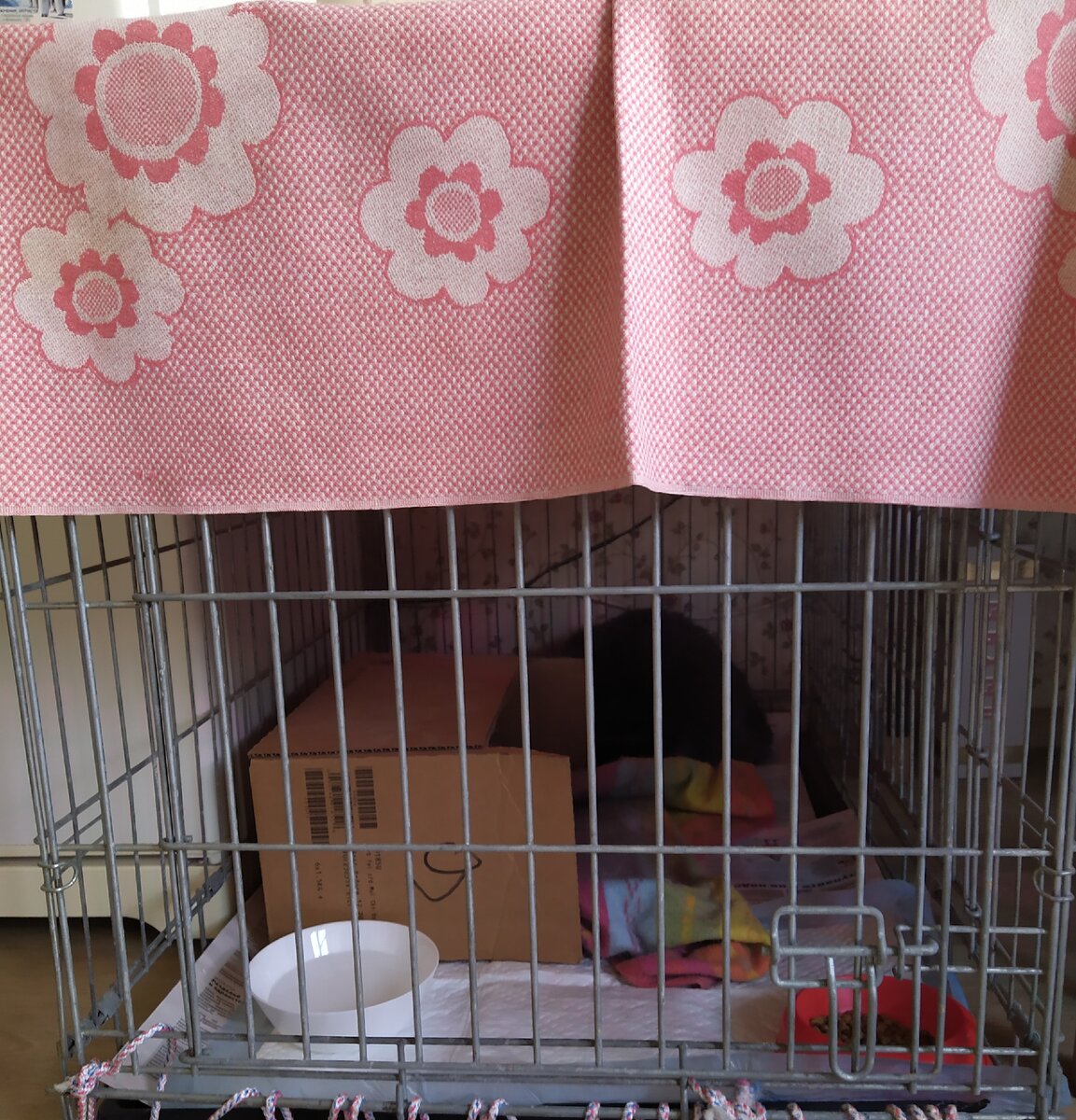 Марусю в клетке не видно, но она там есть.