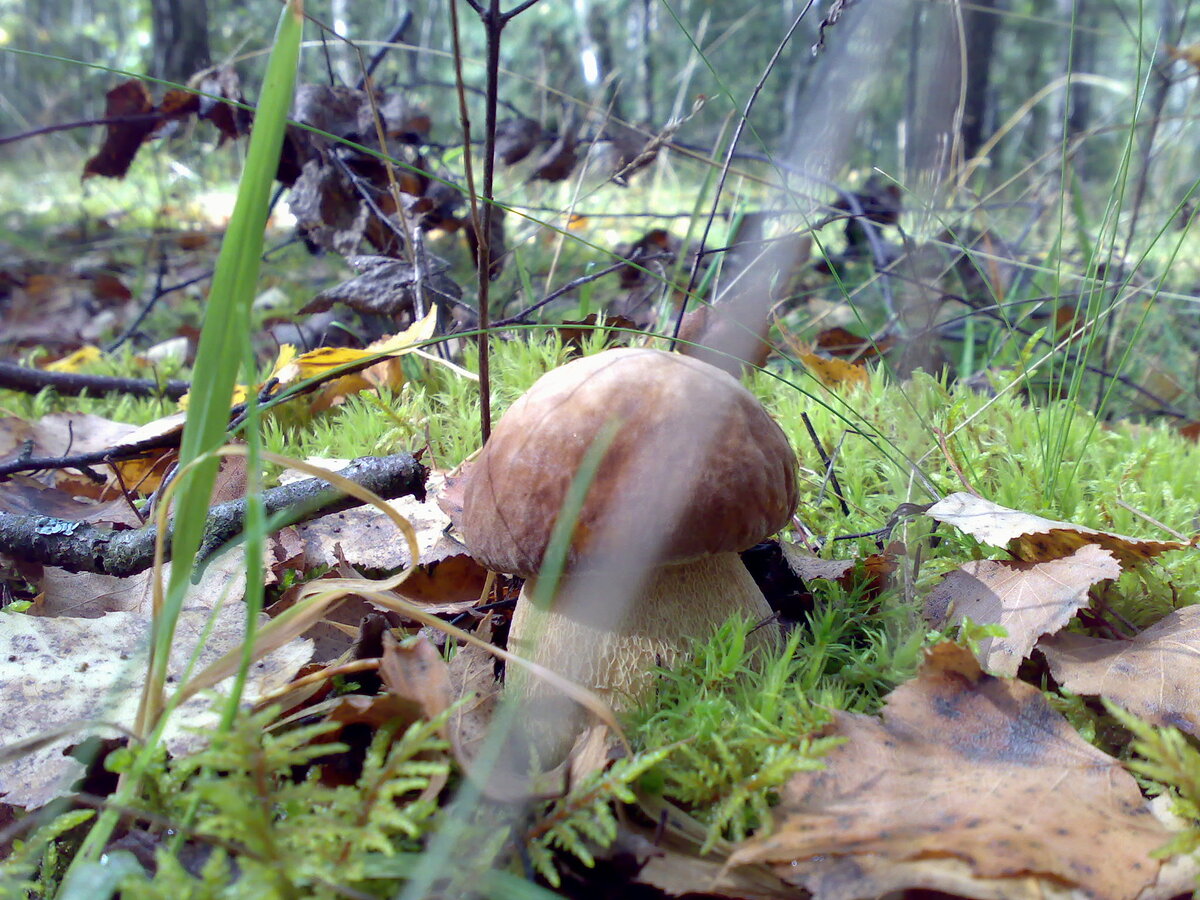 Из личного архива