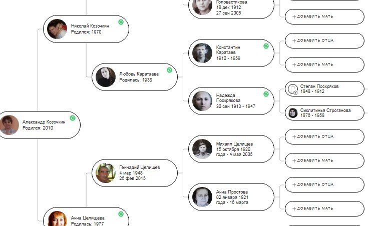 Скрин программы " My heritage" Кусочек родового древа Александра Николаича