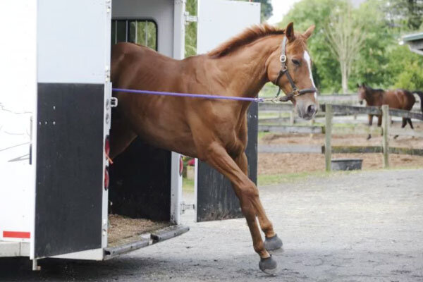 Источник фото сервис Яндекс.Картинки