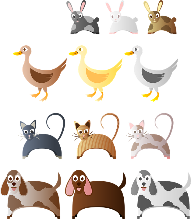 картинка из интернета