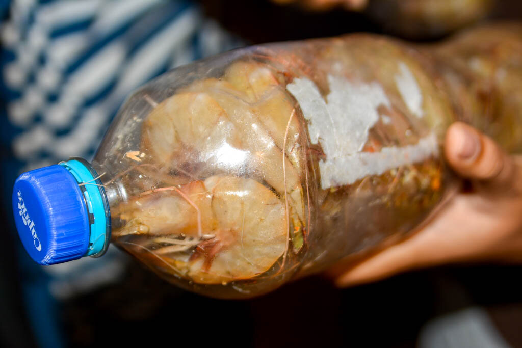 2. Извлечь, очистить от панциря (его ни в коем случае не выбрасывать!).