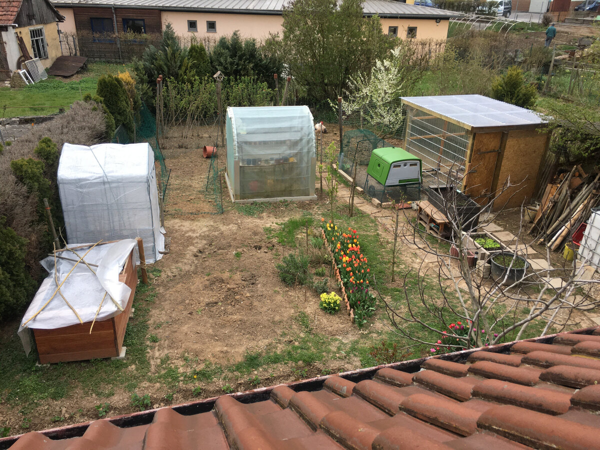 Курятник справа - прощай травка-всю съели курицы..