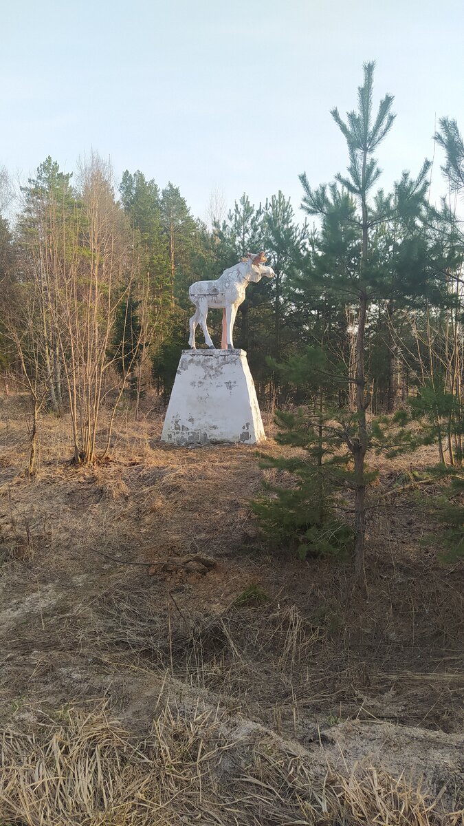 Ни тропинки, ни чего, чтобы указывало на то, что тут кто-то бывает. 