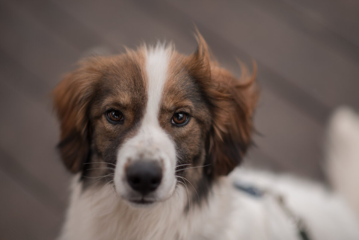 Глазки бусинки 🤗