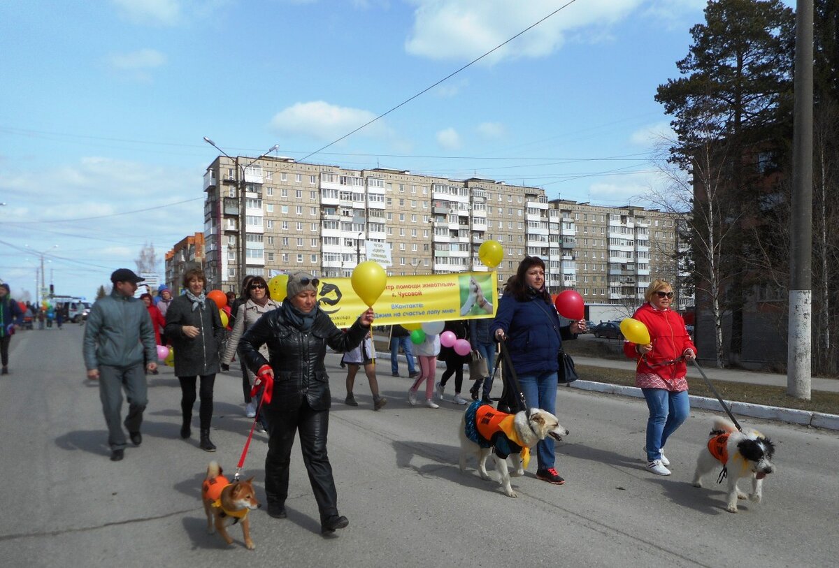 1 Мая 2019 года