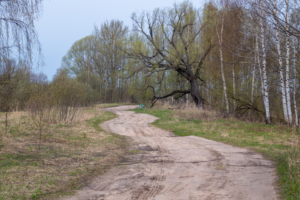 Пейзажи в окрестностях Рыбинска