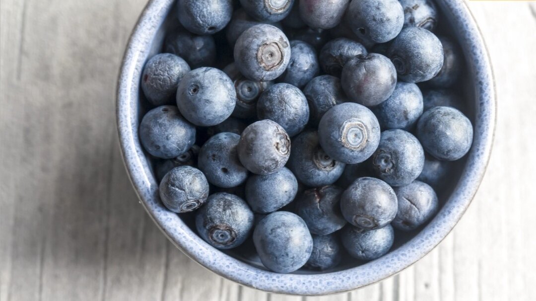 Лесная черника 