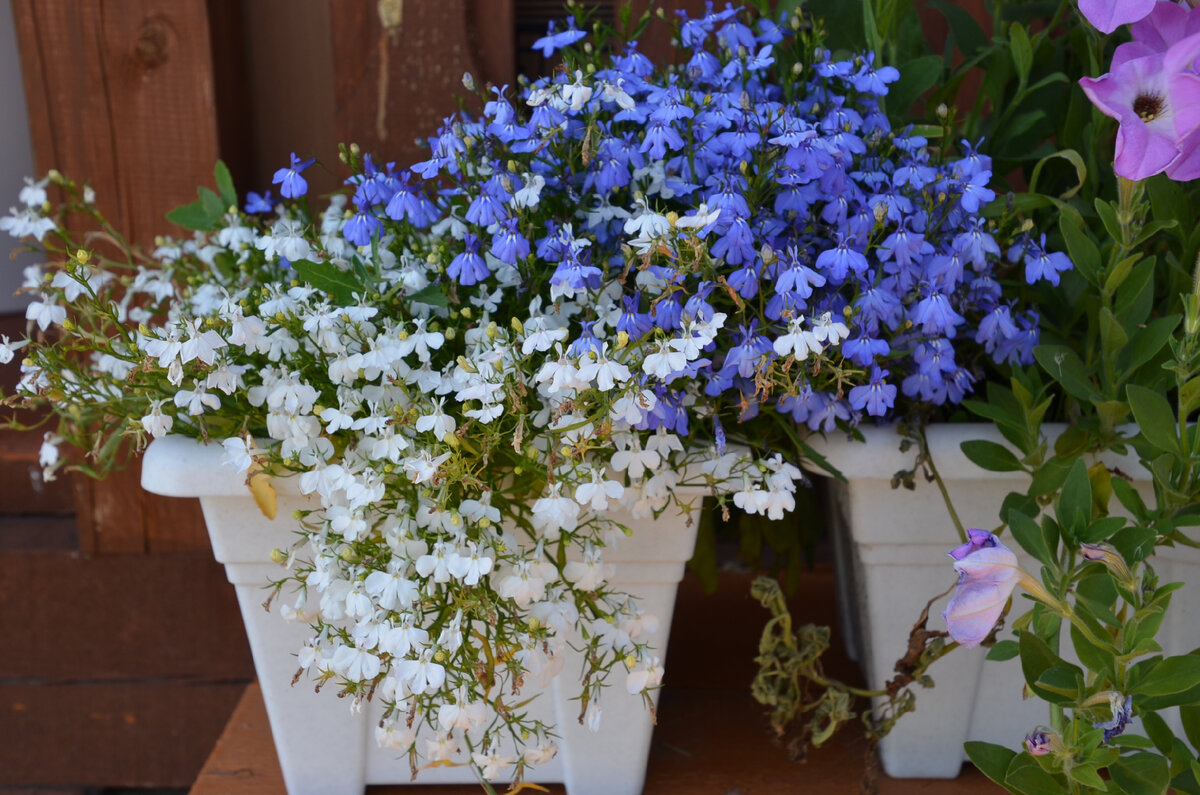 До лета осталась ровно неделя. Ура! Фото из личного архива автора.