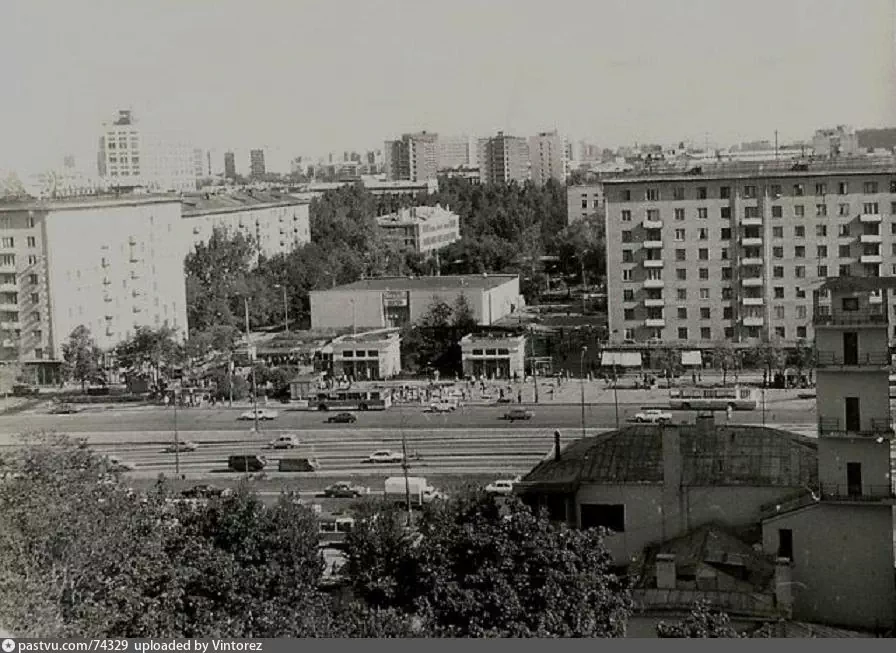 \"Из окна кухни, слава богам, я вижу поселок Сокол, а не Триумф Палас ...