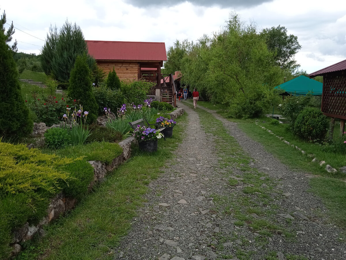 Красивая ухоженная территория