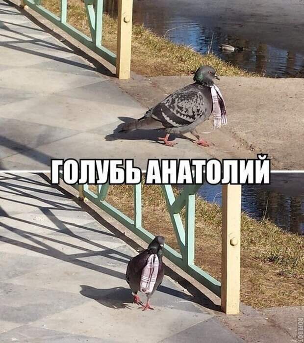 -2-3