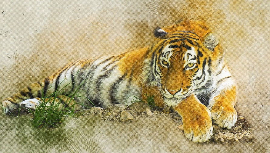 Меню хищника: что нельзя готовить для новогоднего стола 2022