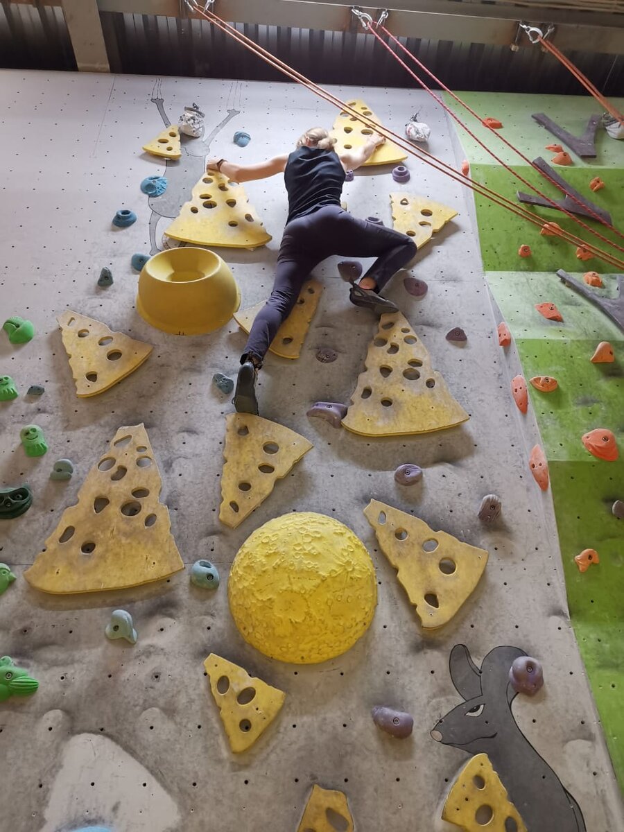 Всё лезу, лезу... а ведь всё равно окажусь на полу🤣