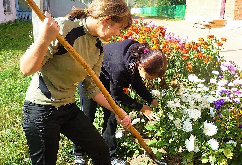 Фото для иллюстрации рассказа из свободных источников