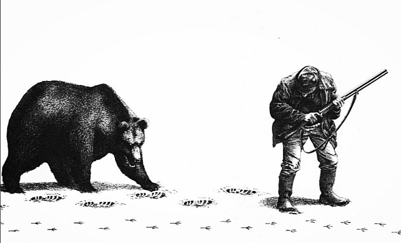 Калибрович заманивает не опытного медведя в ловушку