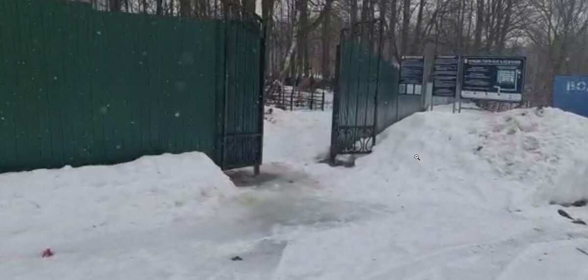 Серпуховский район, деревня Васильевское. Кладбище.