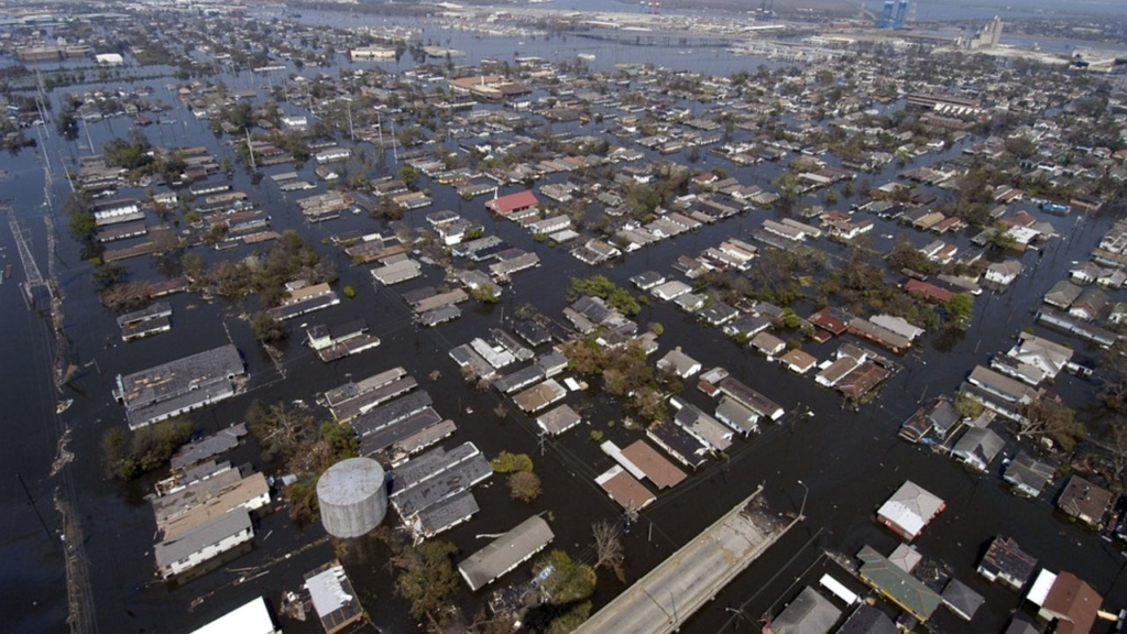 Источник: livrezon.com