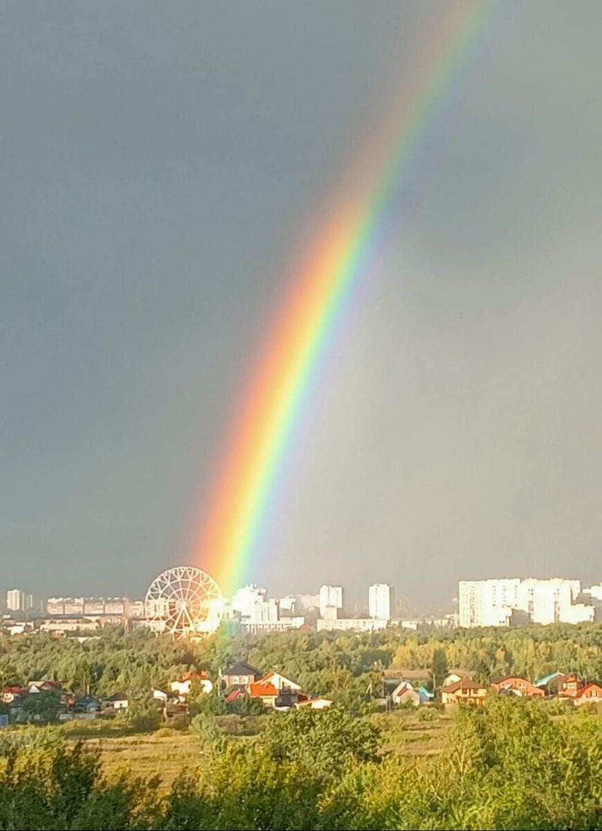 Лесина радуга)) 