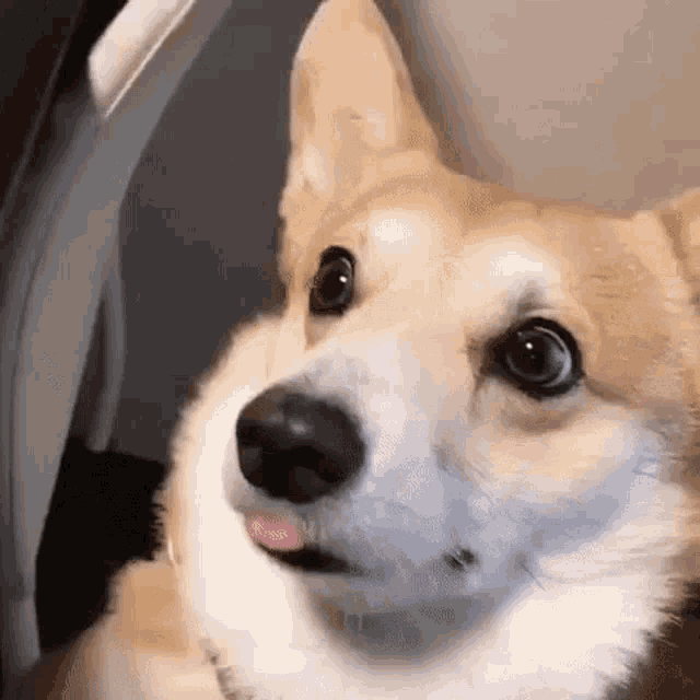 -7