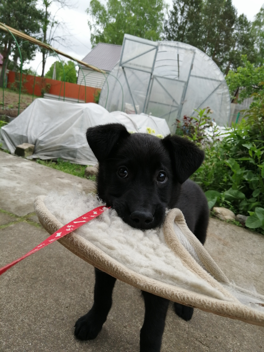 Здесь он у нас уже 2 недели