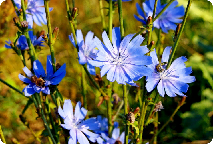 Картинка из просторов интернет  pibig.info   ПОДПИШИТЕСЬ  НА  КАНАЛ!