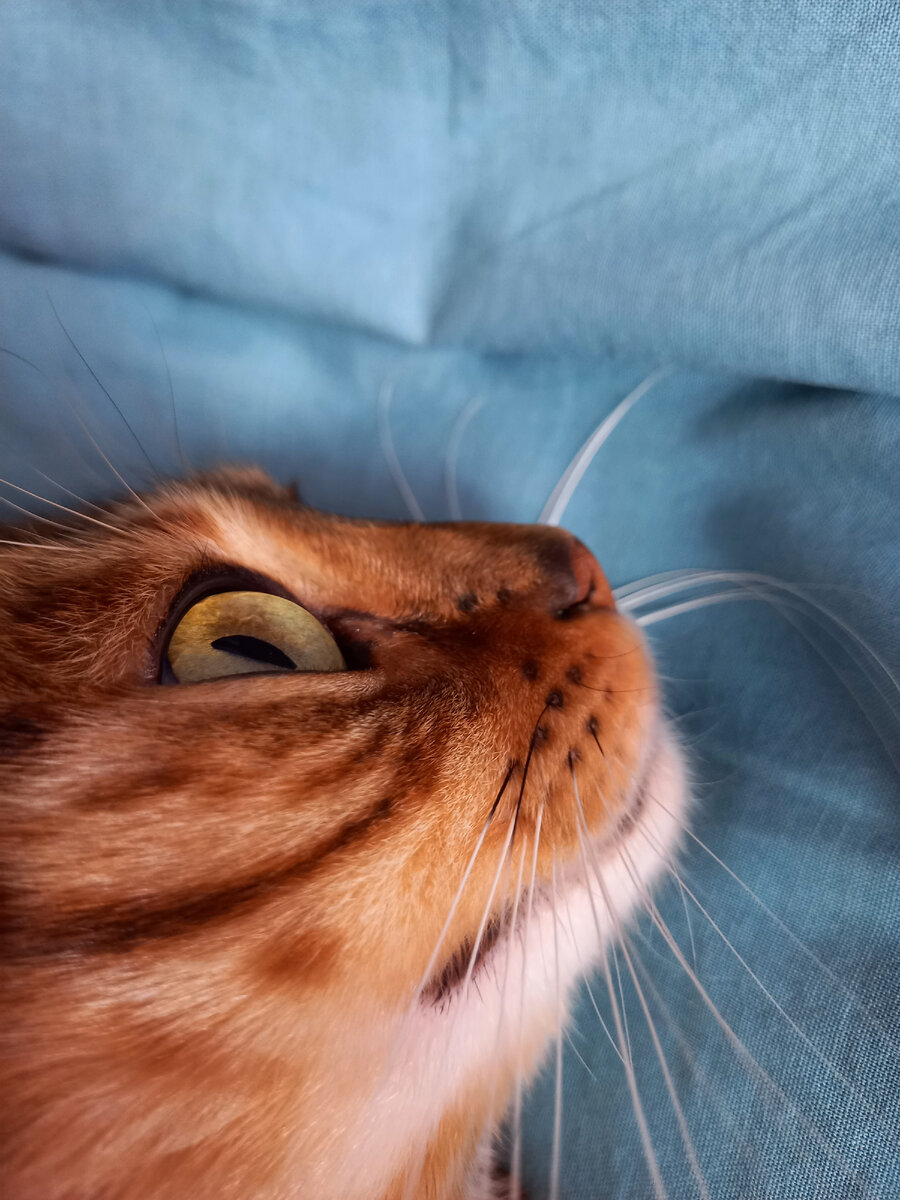 Автор отдыхает после непосильного труда