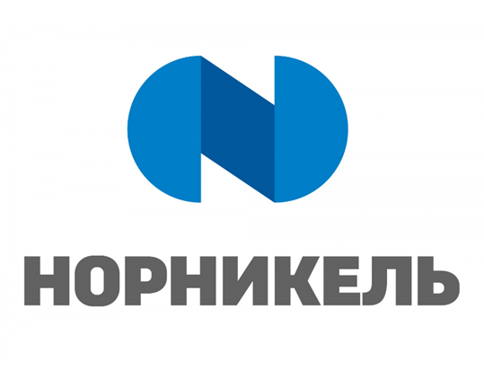 вариант логотипа компании из открытых источников