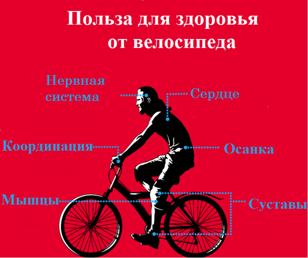 Похудеешь ли катаясь на велосипеде. Велосипед и здоровье. Польза велосипеда. Полезность велосипеда. Влияние велосипеда на здоровье человека.