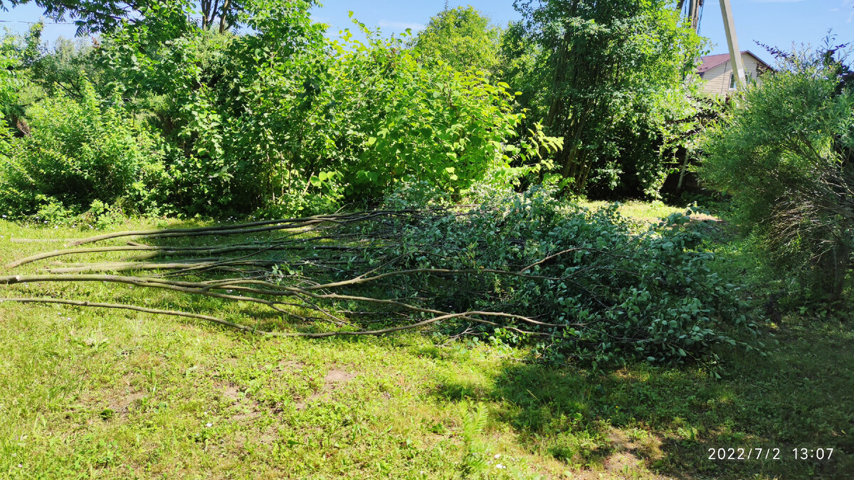 Иргу вырезали. Жердины пойдут на бордюры для клумб. Пока непонятно, как получится, если красиво - покажу.