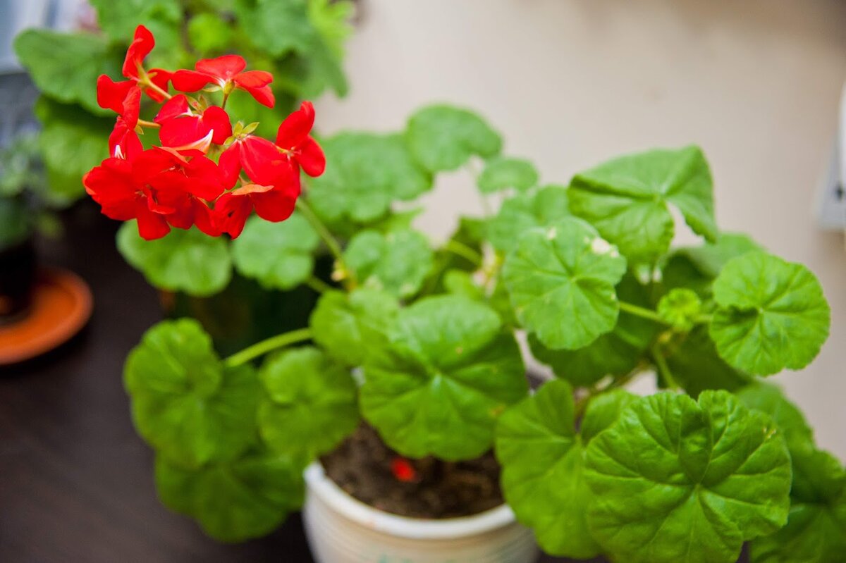 © Фото: ИД «Волгоградская правда» / Сергей Григоренко / архив