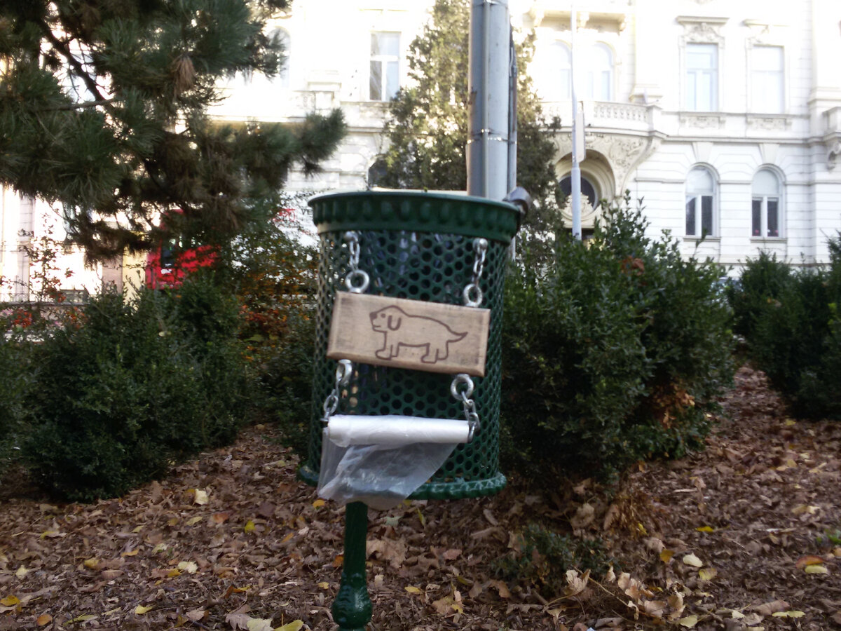 Фото автора, Брно (Чехия)