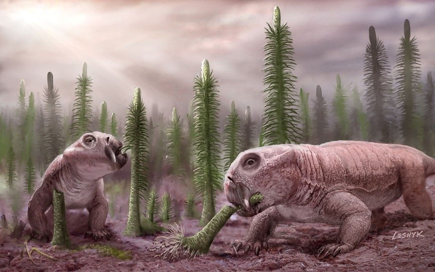 Листрозавры: Звероящеры, пережившие апокалипсис. Когда 90% животных погибло, они выжили и расселились на всю планету!2