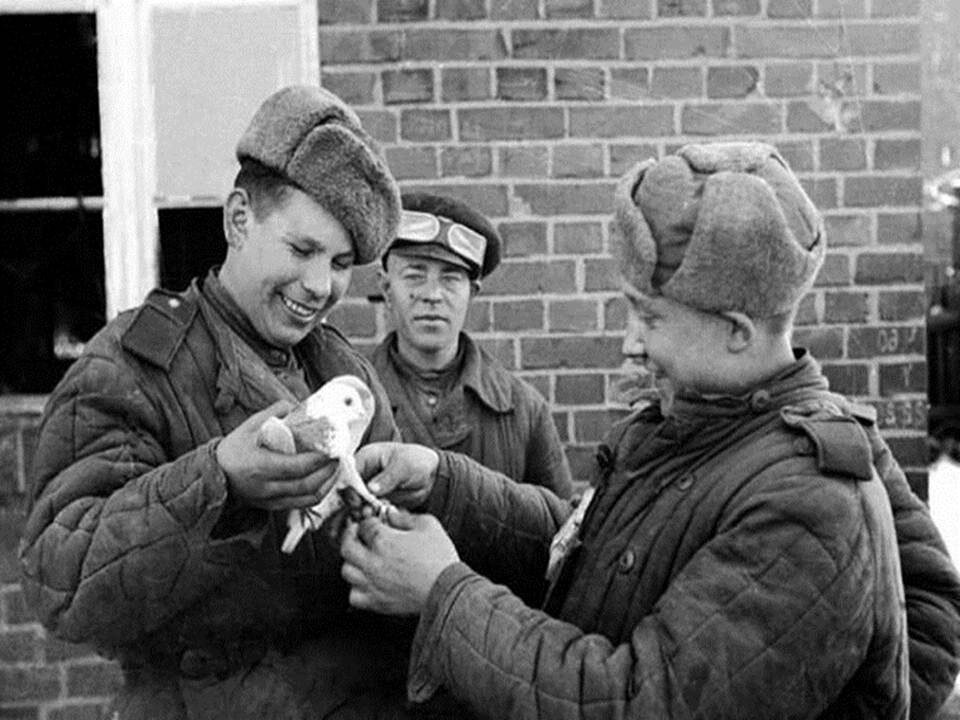 Фото из открытых источников