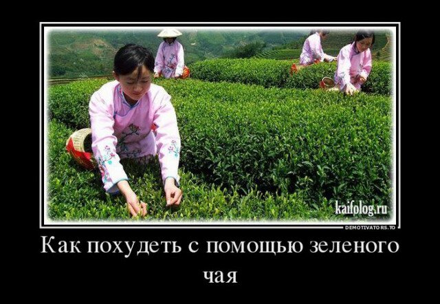 Настроение на связи