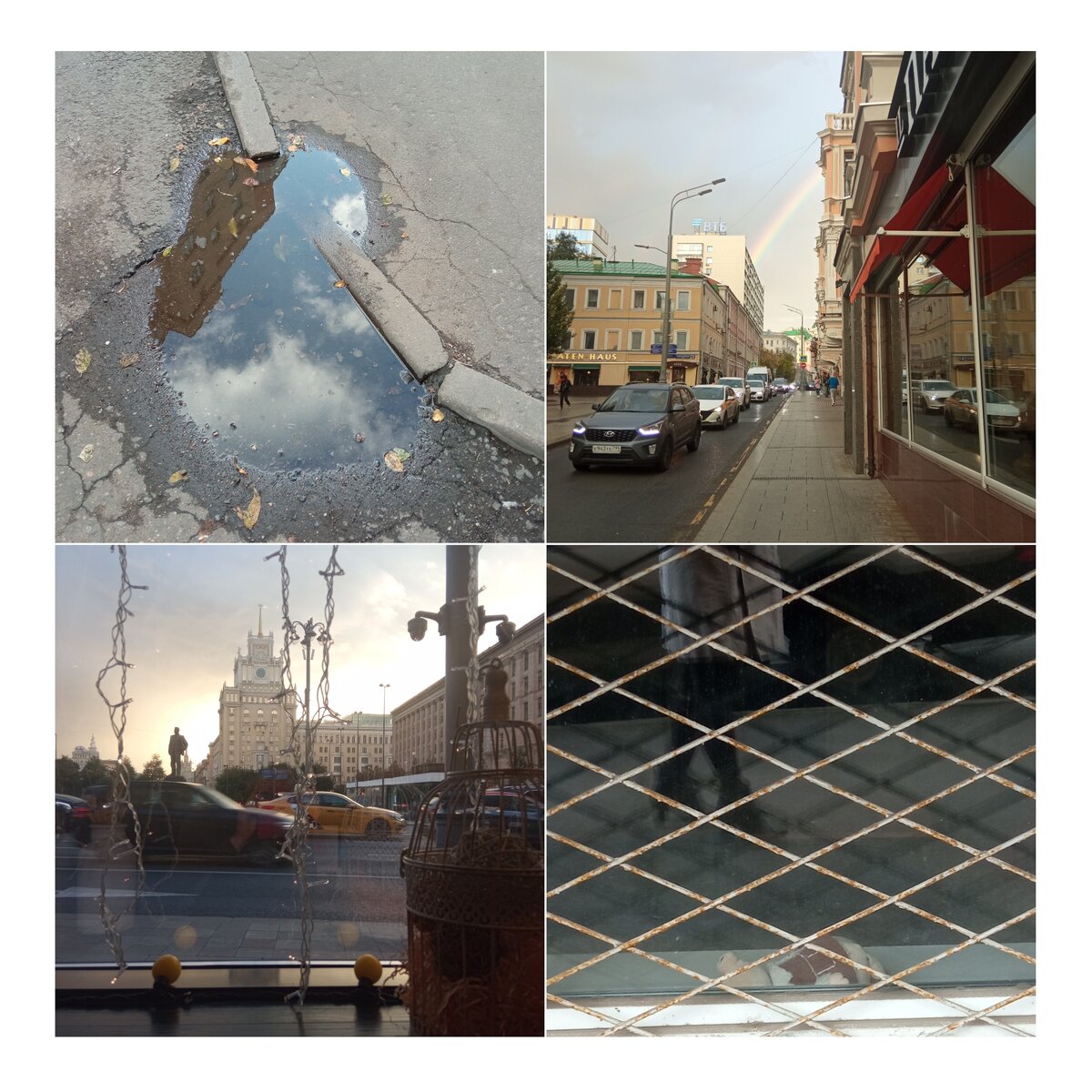 Осенние кадры (фото автора) 