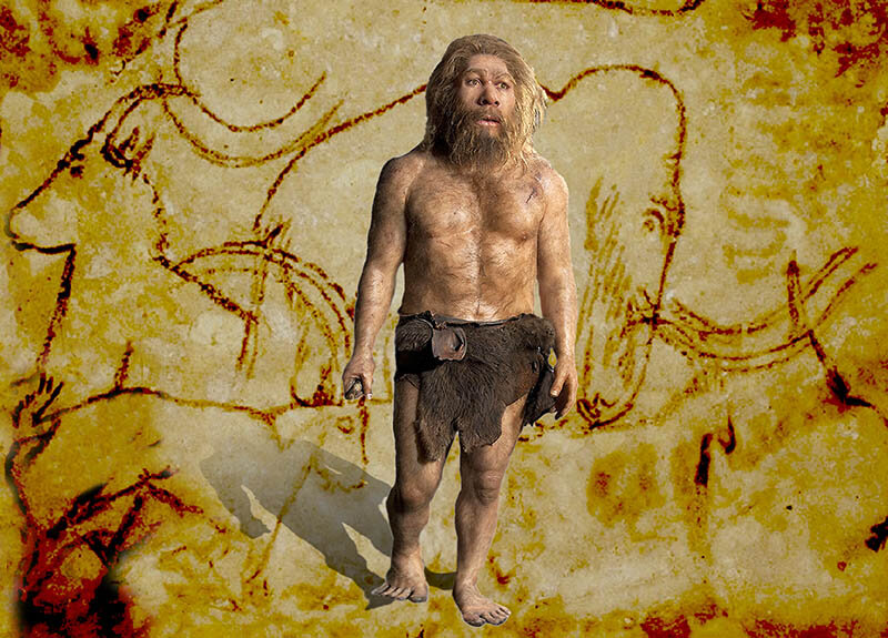 Палеоантропы или древние люди неандертальцы. Палеоантропы характеристика. Читать неандерталец 3. Наскальная живопись неандертальцев. Читать неандерталец 3.