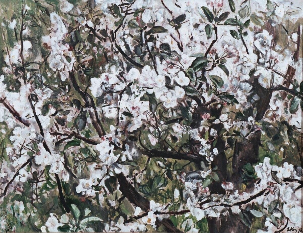 Моисеенко Евсей Евсеевич (1916–1988)
Яблоня цветет
1976                                        
Оргалит, масло
НИМ РАХ