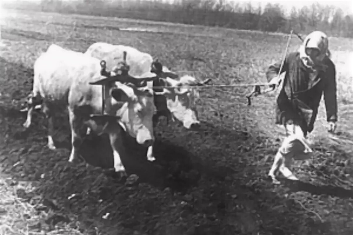 Фото из интернета