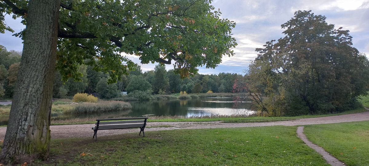 Живописный вид Приораткого парка