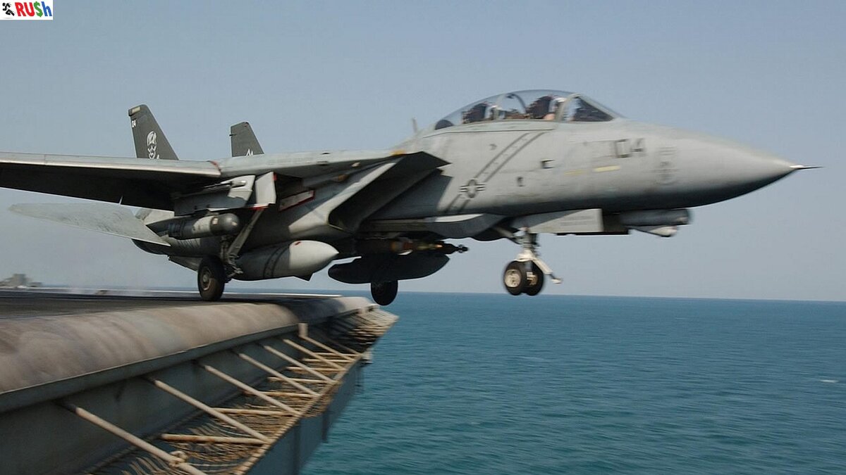  Grumman F-14 Tomcat