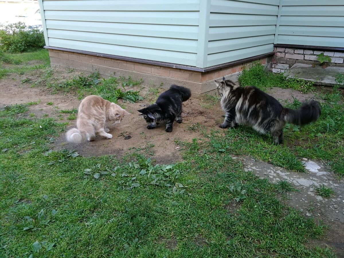 Фото из личного архива.