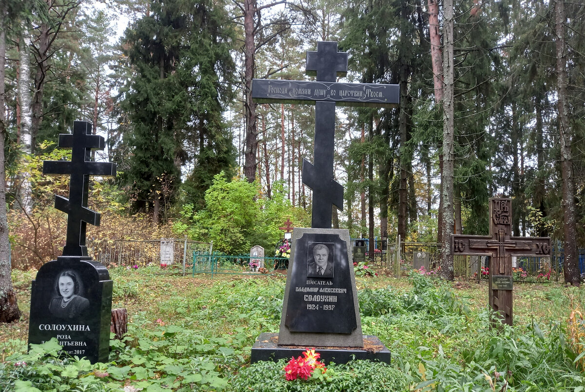 Алепино – место силы Владимира Солоухина | Света В Литературе и Искусстве |  Дзен