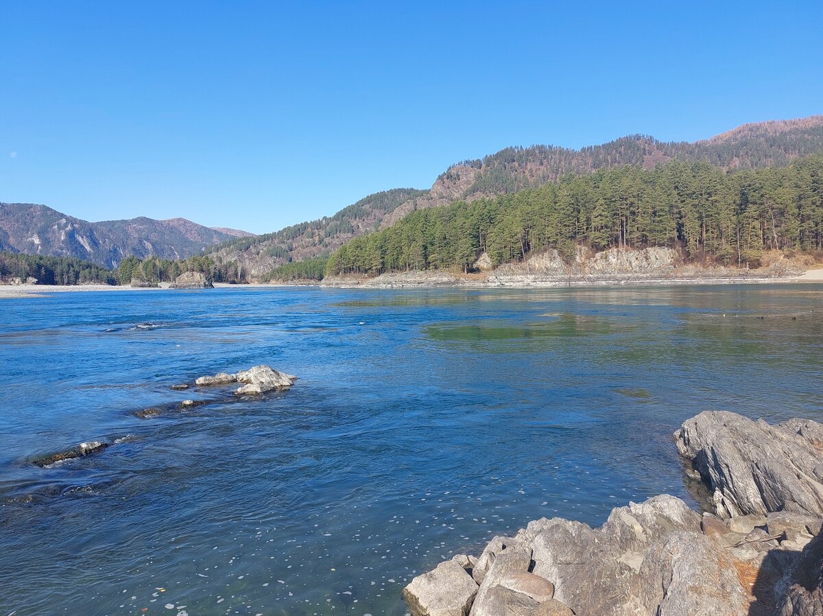 Великолепная горная Катунь