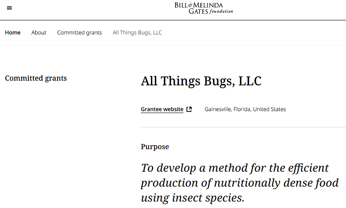 Фонд Билла и Мелинды Гейтс предложил грант компании «All Things Bugs», которая специализируется на производстве продуктов питания на основе насекомых.